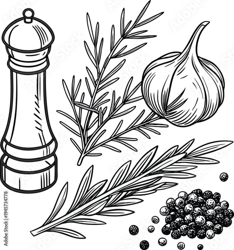 Rosemary, Garlic, Pepper Grinder & Peppercorns Line Art on transparent background