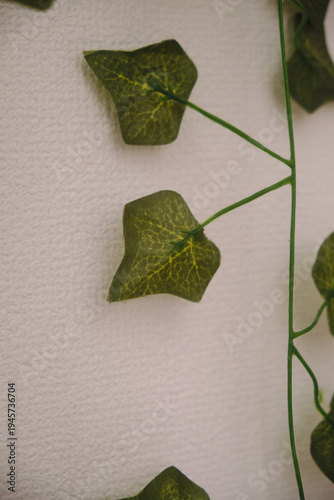 Fake Ivy on a Wall