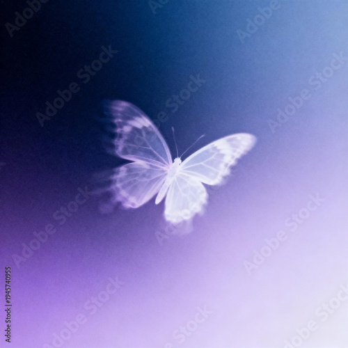 Vibrant butterfly illustrations in pastel tones. Each design has glowing, wispy backgrounds and colorful butterflies, delivering a light, romantic, and magical feel.