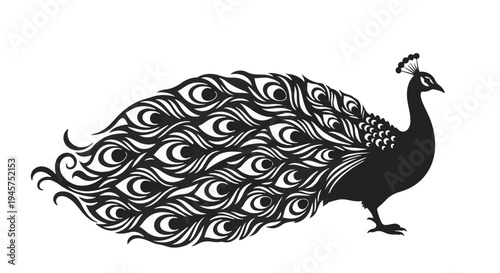 Majestic male peacock displays an extravagant tail with numerous eye-like feather patterns rendered in bold black silhouette against pure white.