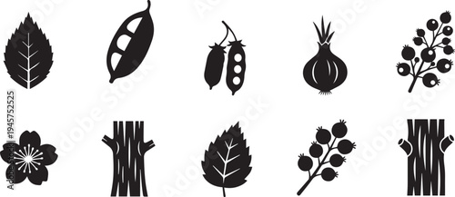 Silhouette of various plant species and botanical elements in black