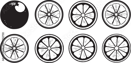 Silhouette of an avocado and six cross sectional slices