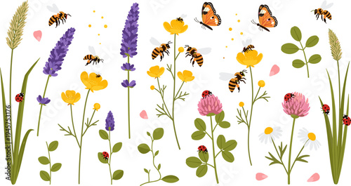 Cute Bees Pollinating Wildflowers with Lavender, Clover, Buttercups, Butterflies, and Ladybugs Meadow Garden Nature Vector Illustration Collection
