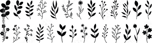 Botanical silhouettes collection, plant vector art, floral outline design, nature foliage illustration, leaves stems buds flowers, decorative graphic motifs