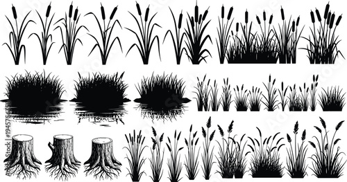 Reeds and cattails swamp plant silhouette set cad drawing flat vector illustration featuring water grass marsh vegetation and tree stumps isolated.
