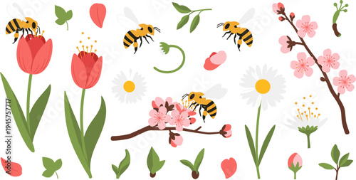 Cute Cartoon Bees Pollinating Tulips, Cherry Blossoms, and Wildflowers with Leaves, Petals, and Spring Garden Nature Vector Illustration Set