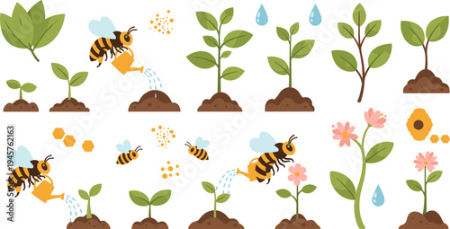 Cute Cartoon Bees Watering Young Plants and Flowers Showing Plant Growth Stages with Soil, Leaves, and Garden Elements Educational Vector Illustration Set