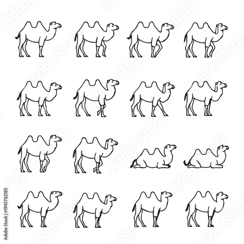 Set of Camel Icons and Illustrations in Different Poses and Styles Vector Art