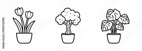 Diverse potted plant collection for home decor and garden concepts, with various botanical icons