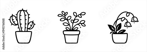 Set of three potted plants in line art style for decorative and graphic design