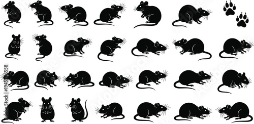 Mouse and rat silhouettes collection, rodent animal poses set, black isolated vector icons, pest control concept, wildlife mammal illustration
