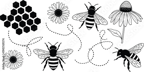Bee icons, honeycomb, flowers, pollination, flight path, nature illustration, insect design, ecological process, striped bees, daisy bloom, coneflower art
