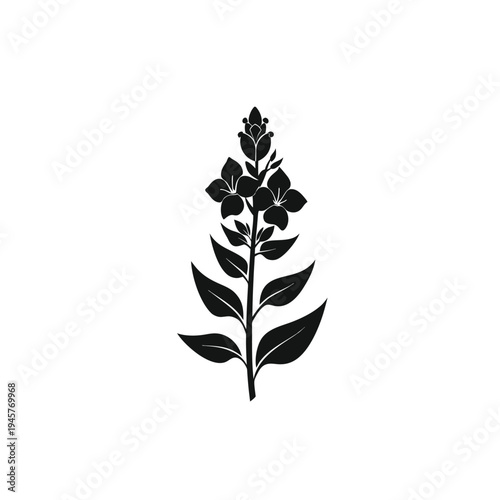 A minimalist black silhouette of a flowering plant on a white background