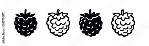 Raspberry or blackberry icon set in doodle style. Hand drawn fruit illustrations.