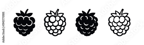 Hand drawn raspberry icon set. Blackberry vector illustrations in black and outline.