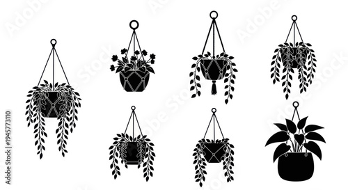 Hanging plants and macrame pots silhouette for interior home decoration