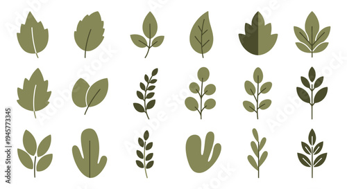 Various Green Leaves and Branches Collection Vector Illustration Set Isolated