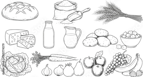 Food illustration, bread loaf, flour sack, wheat stalks, cheese, milk, sugar cubes, vegetables, fruits, grapes, bananas, strawberries, onions, garlic