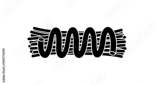 Abstract Black and White Spiral Shape with Fluid Design