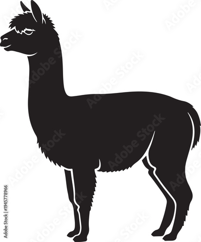 Alpaca Silhouette