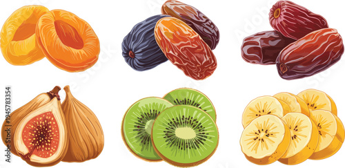 Dried fruit vector illustration set featuring dates figs apricots kiwi and banana slices for healthy snack food packaging and organic nutrition designs.