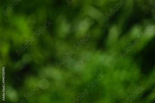 Green nature blur dark bokeh background. Defocused abstract forest blurry texture.