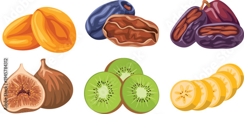 Healthy dried fruit vector collection with dates figs apricots kiwi and banana slices for organic snack packaging and Mediterranean diet food designs.