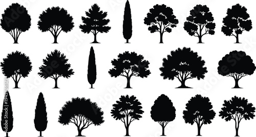 Tree silhouettes collection with various forest and garden tree shapes, nature landscape design elements isolated on white background botanical vector style set