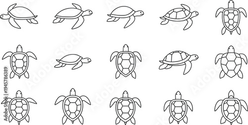 Collection of twenty turtle illustrations in different orientations and shell patterns for educational, decorative and vector design projects