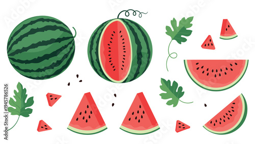 Vibrant set of watermelon illustrations including whole fruit, cross sections, and various sized slices with seeds and green leaves.