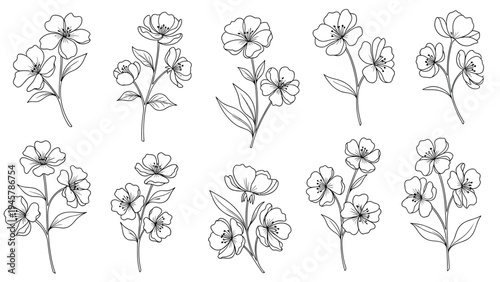 Delicate set of black and white line-art floral branches shows various flower species in a simple hand-drawn botanical style.