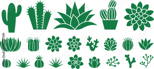 Green succulent and cactus vector icon set featuring various desert plants agave aloe and prickly pear flat botanical illustrations.