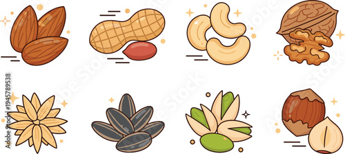 Mixed nuts collection vector illustration set including almonds, peanuts, cashews, walnuts, pistachios, sunflower seeds and hazelnuts healthy snack food design