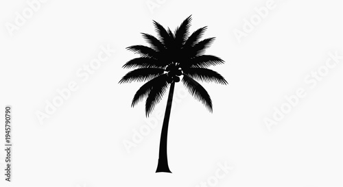 Elegant silhouette of a lone palm tree against a plain backdrop