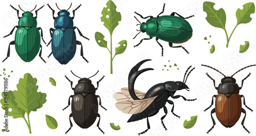Colorful Beetle Insect Collection with Various Bug Species and Green Leaves Elements, Detailed Entomology Vector Illustration Set Isolated on White Background