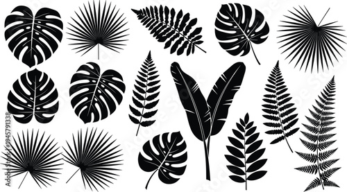Tropical leaves silhouette vector set including monstera, palm and fern foliage collection isolated black botanical elements for jungle, summer and nature design