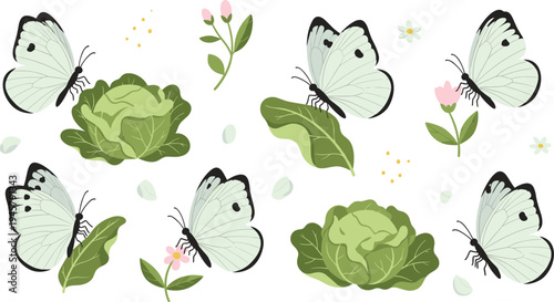 Cabbage White Butterfly and Leafy Vegetable Vector Set with Garden Plants Flowers and Flying Butterflies Nature Pest Illustration Collection