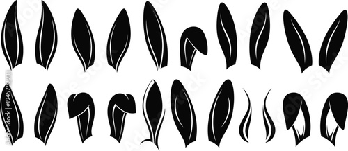 Collection of various black feathers on white background