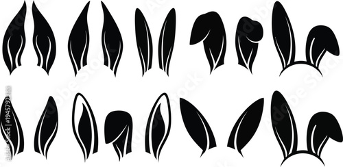 Collection of black feathers on white background