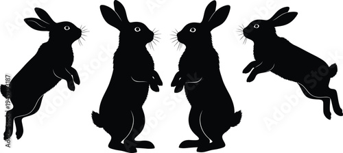 Four black rabbit silhouettes jumping on white background
