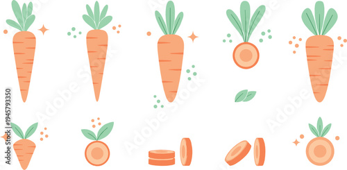 Carrot vegetable collection with whole carrots, slices and leaves, fresh organic farm food ingredients flat vector illustration set