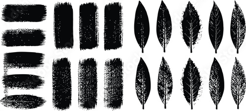 Collection of black brush strokes and marks on white background