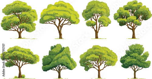 Eight diverse green trees with brown trunks and leafy canopies on a white background