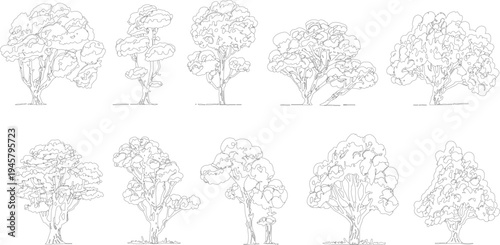Ten distinct black and white line of various trees with detailed foliage and trunks outline