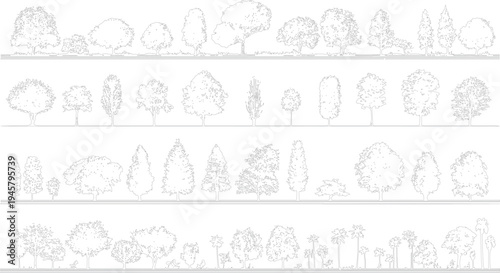 Collection of diverse tree outlines in a linear arrangement across four horizontal bands silhouette botanical