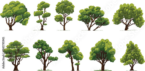 Ten diverse green trees with brown trunks and leafy canopies on a white background nature plant foliage
