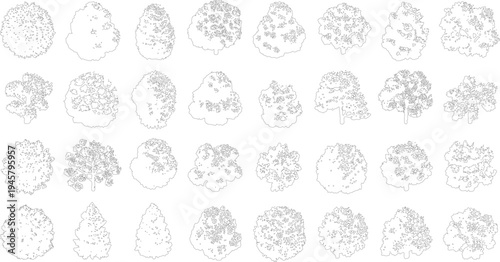 Collection of black and white line of various trees seen from above and side profiles plant plants nature