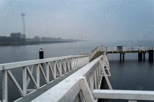 White pier with seagulls and wind turbine in medemblik