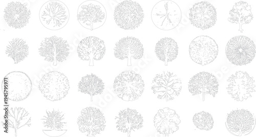 Collection of line tree view with varied foliage and branch structures. Diverse tree shapes and sizes depicted in a simple style