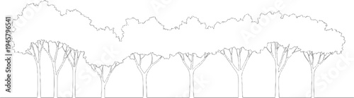 Stylized line of a row of trees with dense foliage and branching trunks against a white background nature